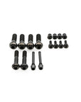 SRAM Level Brakes Bolt Kit - Titanium