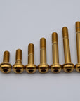 Flat Mount Caliper Bolts - Titanium