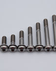 Flat Mount Caliper Bolts - Titanium