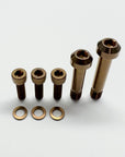 Santa Cruz Pivots and Shock Bolts - Titanium