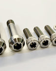 Santa Cruz Pivots and Shock Bolts - Titanium