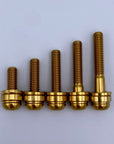 Brake Calipers Bolt - Mountain - Titanium